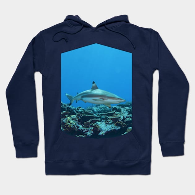 Blacktip | Reef shark at coral reef of Yap Island in Micronesia | Hoodie by Ute-Niemann